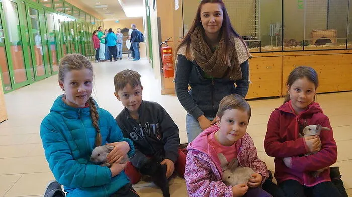 Hasenstreicheln war der große Renner bei den Kindern