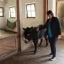Annemarie Sartory mit Esel „Falco“ auf Gut Aiderbichl