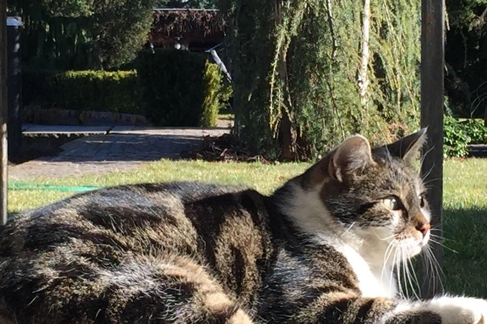 Weitere Fotos folgen ...