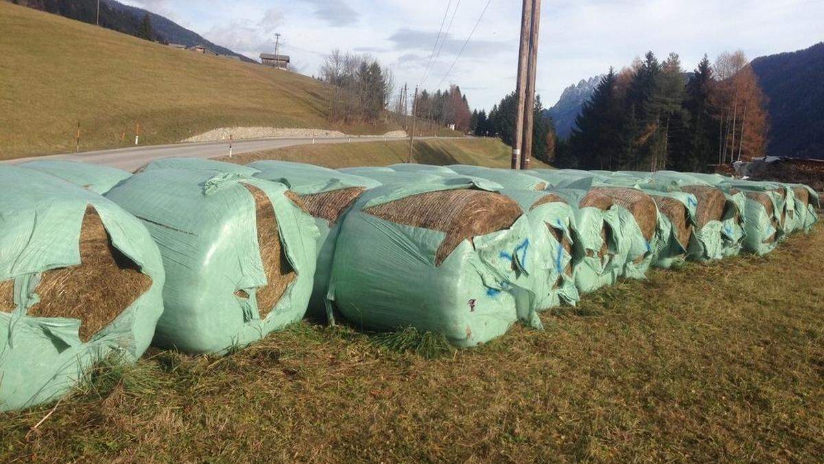 Im Anras wurden 40 Siloballen aufgeschlitzt