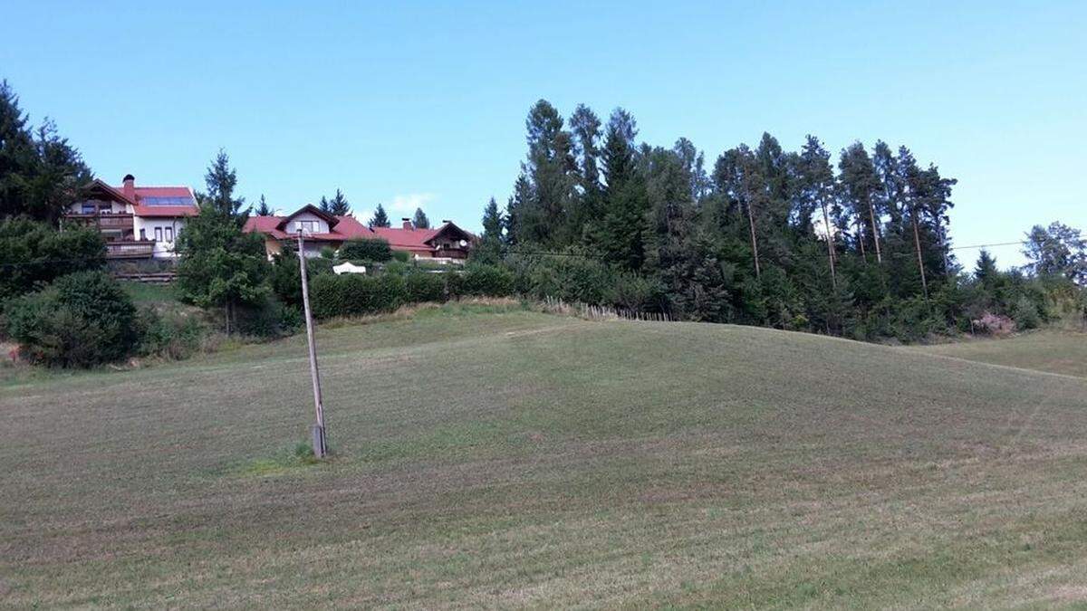 Der Rodungs-Bescheid für dieses Waldstück in der Gemeinde Ebenthal regt auf