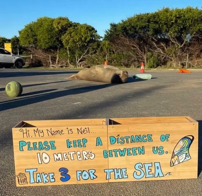 Man kann Neil kaum von einer asphaltierten Straße unterscheiden