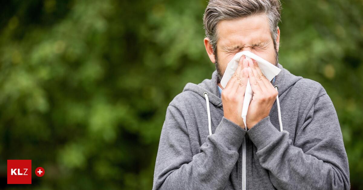 Frühblüher machen Allergikern derzeit das Leben schwer