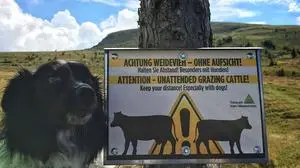 Beim Wandern ist es besonders wichtig, Hinweisschilder und Sperren nicht zu missachten (Symbolfoto)