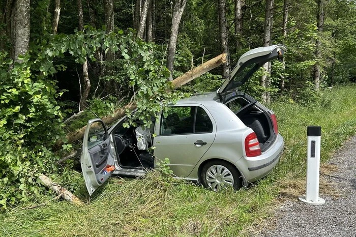 Die FF St. Kathrein am Offenegg war mit sieben Kameradinnen und Kameraden im Einsatz.