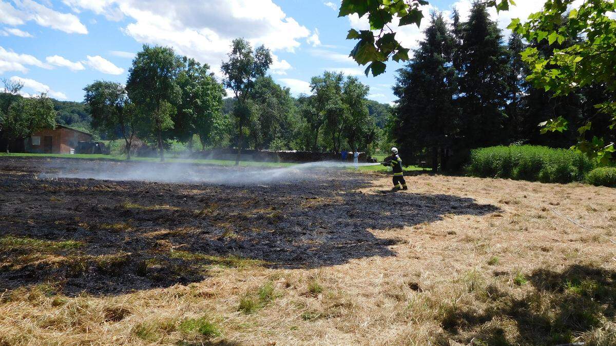 Die Ursache des Brandes wurde noch nicht ermittelt