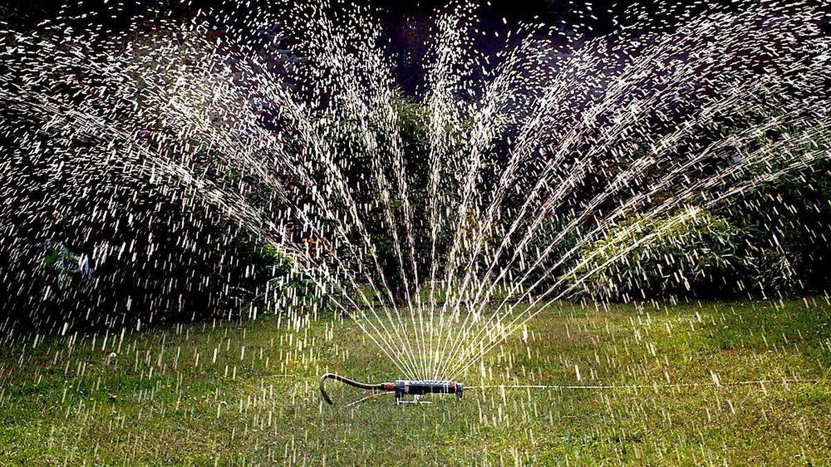 Sattgrüne Blütenpracht auf Kosten der anderen: In St. Urban haben einzelne Wasser illegal abgezapft, um den Garten zu gießen