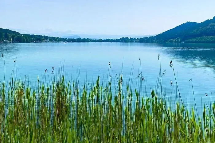 Sieger Region Völkermarkt: Seerestaurant Princes am Klopeiner See
