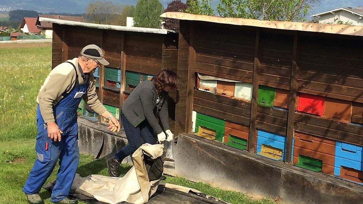 Das Rätsel um das Bienensterben in Gemmersdorf ist geklärt