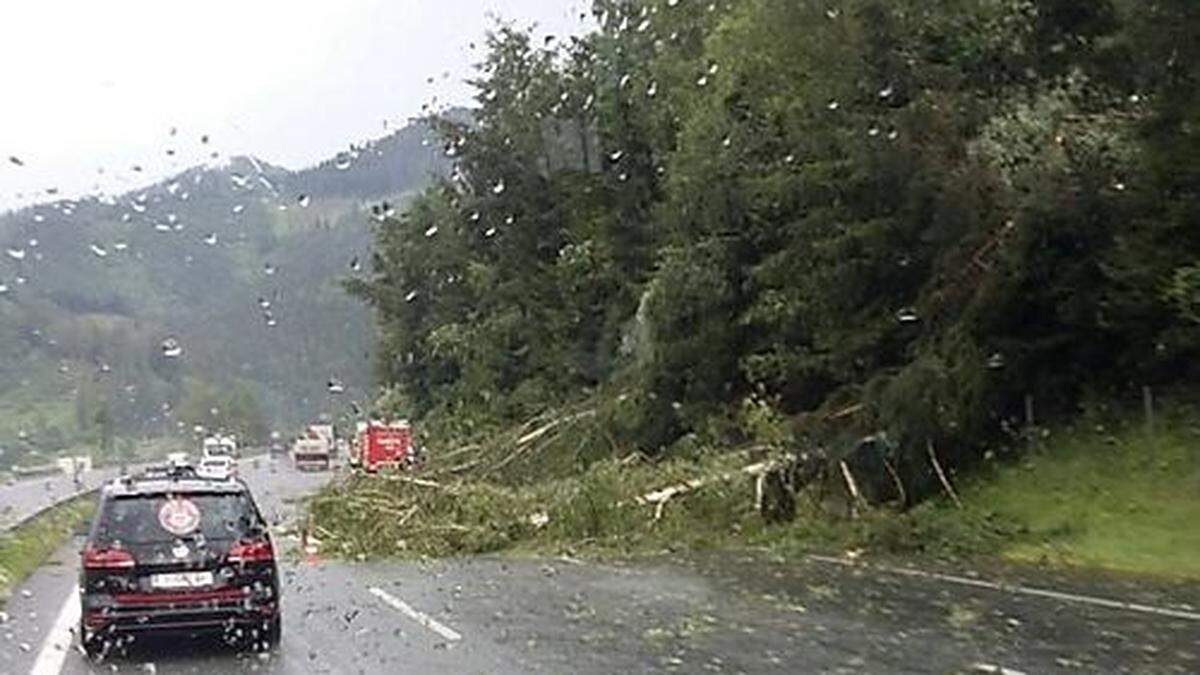 Auf der A9, der Pyhrnautobahn landeten Dienstag am späten Nachmittag Bäume auf der Fahrbahn