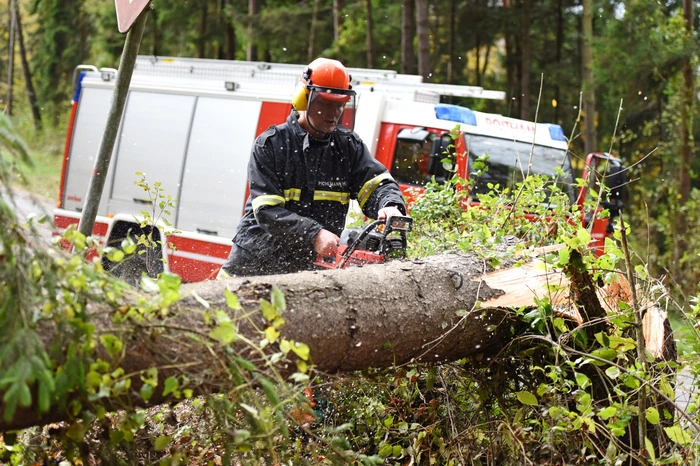 Einsatz zur Beseitigung umgestürzter Bäume in Roitham (Bez. Gmunden.