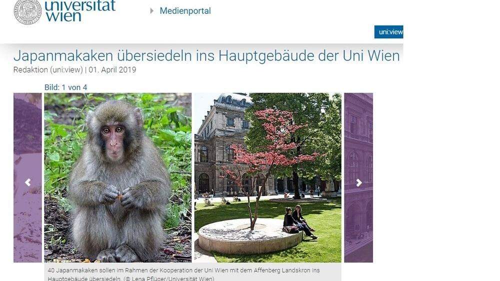 Die Website der Uni Wien berichtet von der Übersiedlung der Affen
