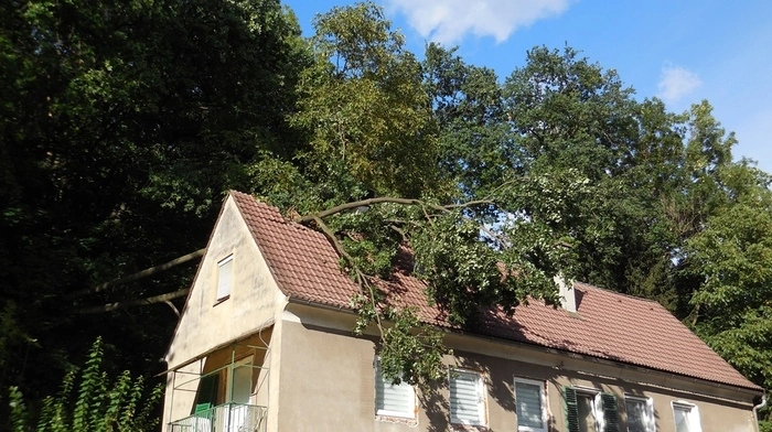 Am Samstagabend um 17.30 Uhr wurden die Freiwillige Feuerwehr Leoben-Stadt und die Freiwillige Feuerwehr Leoben-Göß von der Bezirksfunkleitstelle mit dem Alarmstichwort „T01-Hilfeleistung – Baum auf Haus“ zu einem Einsatz in die Proleberstraße alarmiert.