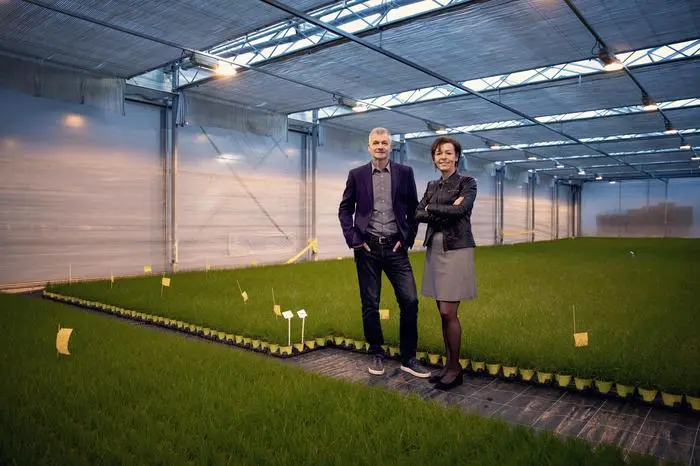 Leo und Christa Scherr von Scherr Jungpflanzen in Weixelbaum, Gemeinde Deutsch Goritz