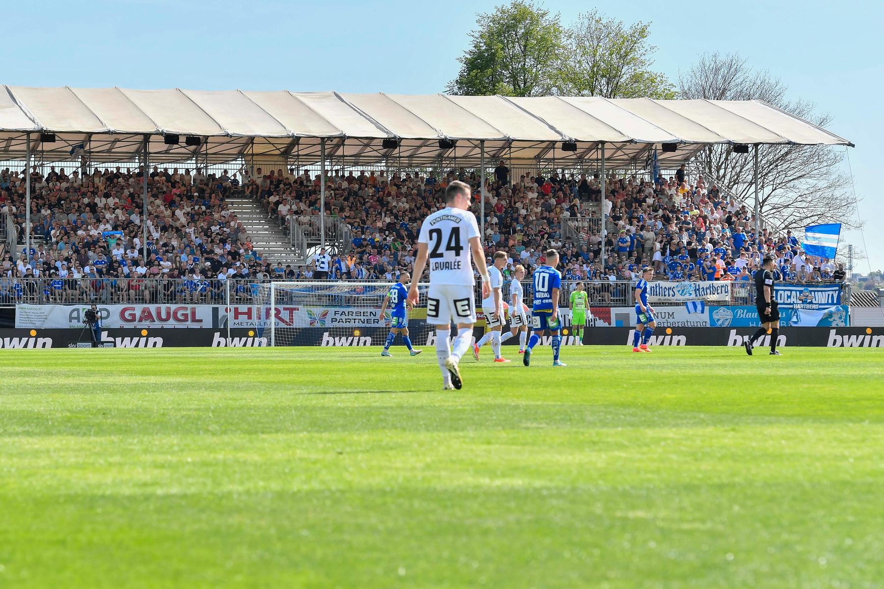 Zwangsabstieg ade? Hartbergs Stadionpläne ganz ohne Träumereien 