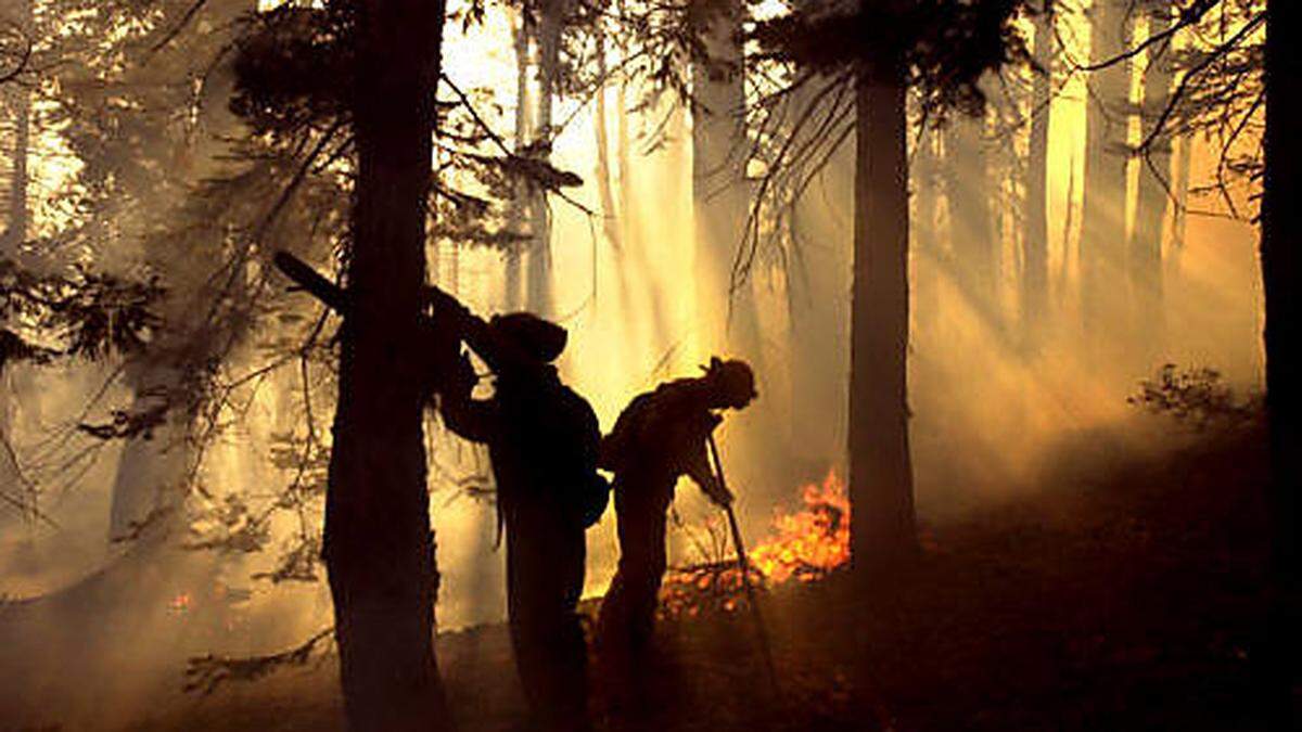 Waldbrand konnte glücklicherweise verhindert werden (Sujet)