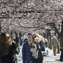Die Schweden feiern de Frühling - trotz Corona