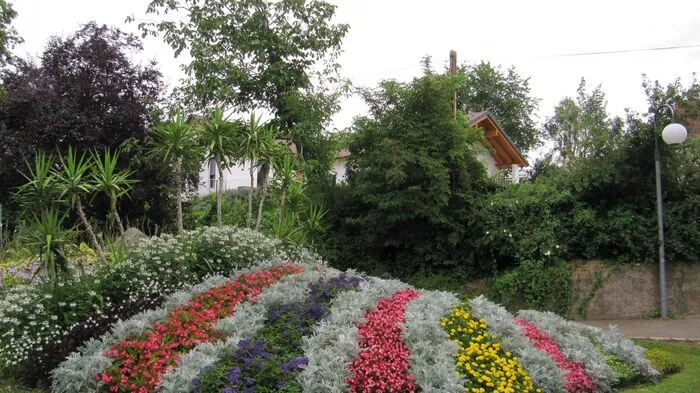 Zum 63. Mal wurde heuer der Landesblumenschmuck gefeiert. In der Kategorie "Schönste Städte" gingen fünf Floras an Gleisdorf