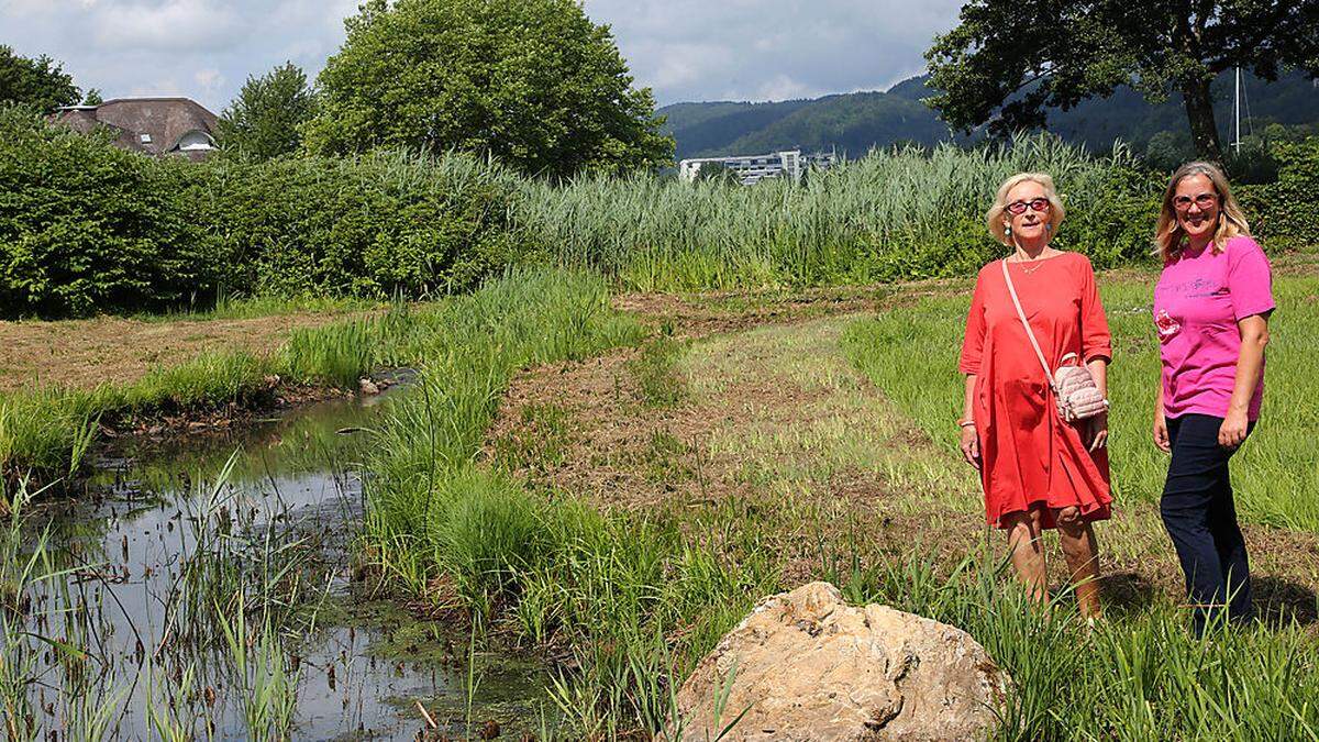 Gertraud Wiederschwinger und Gabriele Hadl möchten das Buberlemoos erhalten sehen