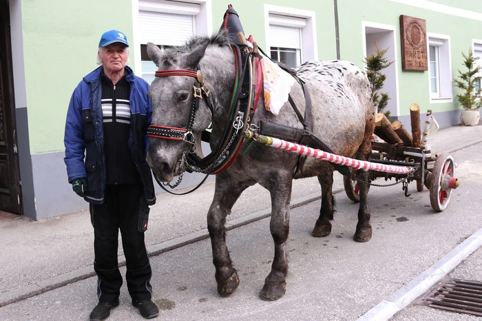 Das Pferd betreut während der Hausbesuche Valentin Čik. Am Leiterwagen sind Blöche, Zepinen und eine Zugsäge.