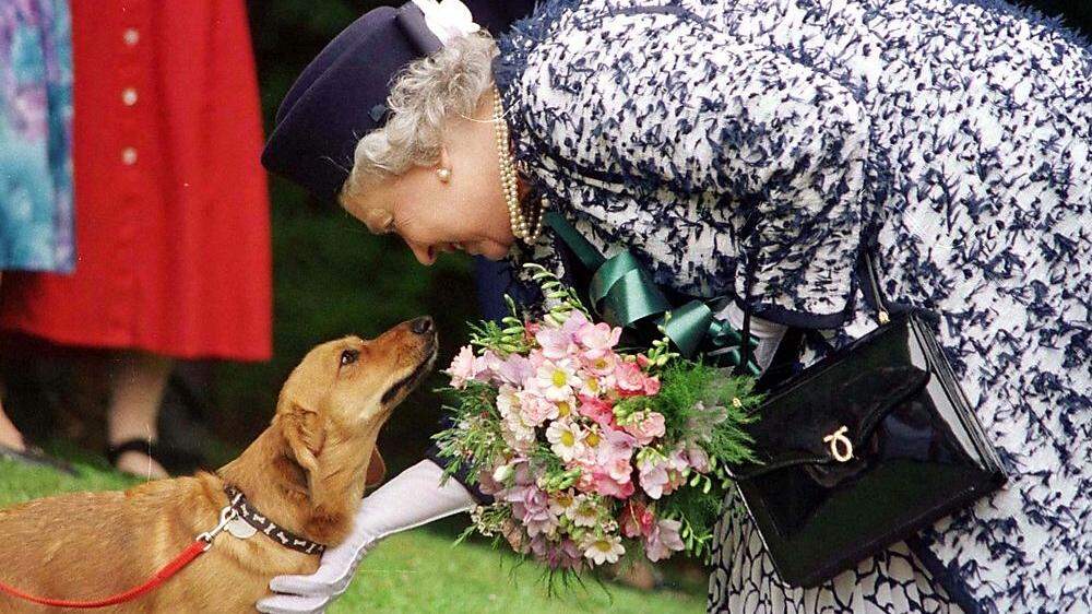 Hundelieb: Queen Elizabeth mit einem ihrer Corgis