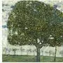 Gustav Klimt, "Apfelbaum II"