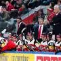Team Austria geigt schon wieder auf