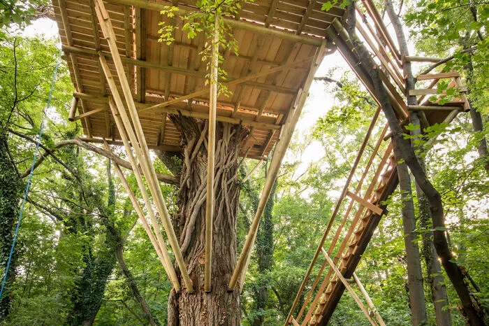 Bei Bau und Befestigung arbeitet Richard Polsterer vor allem mit Schrauben, Nägeln, Ketten und Seilen. Die Bewegung des Baums bei Wind und Wetter sowie unter Schneelast müssen berücksichtigt werden.
