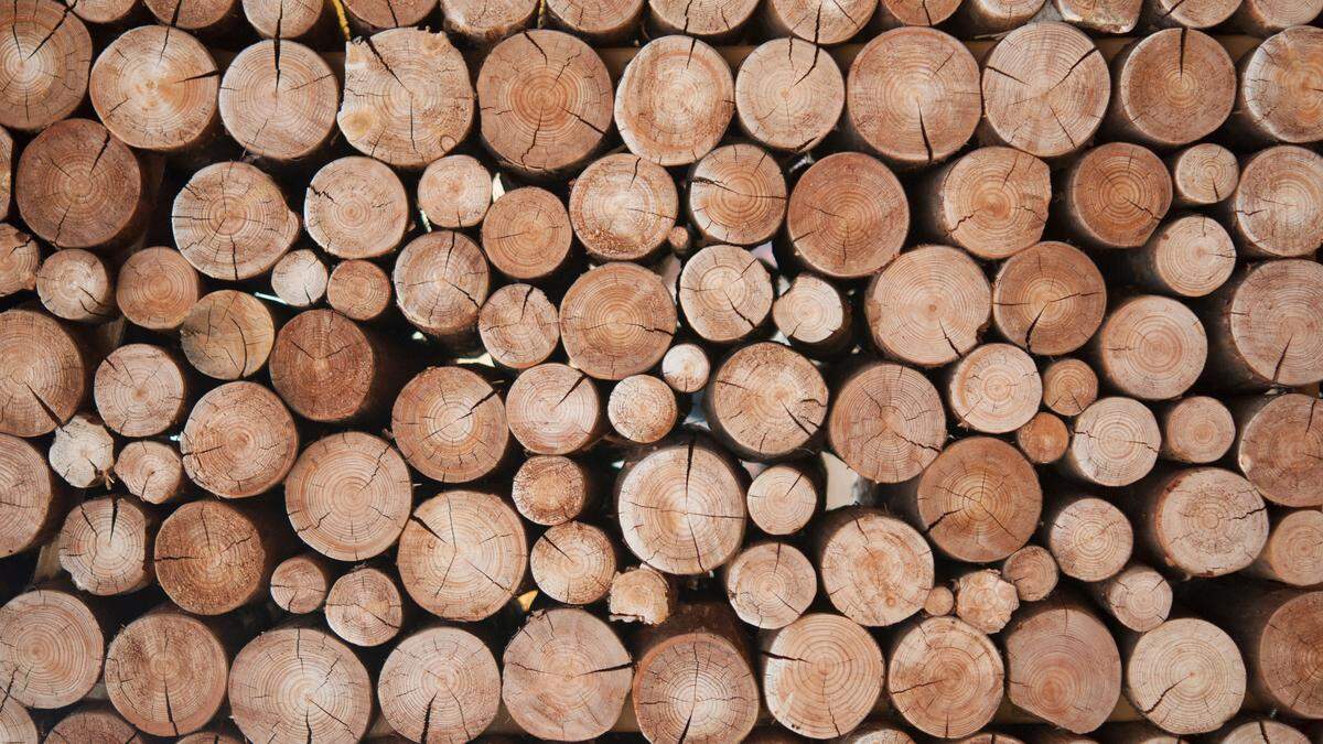 Holz ist zurzeit heiß begehrtes Gut