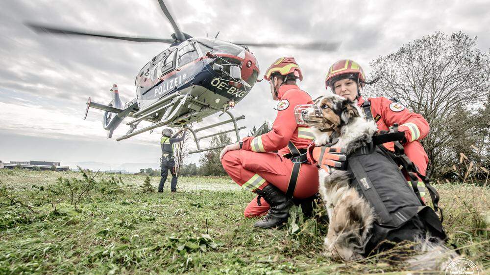 Nun kommen die Rettungshunde über die Luft zu Hilfe