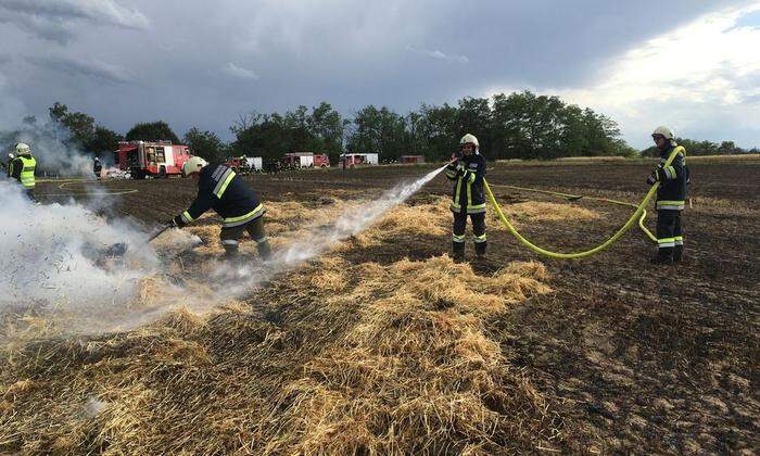 Fünf Feuerwehren aus den Bezirken Hollabrunn, Krems und Tulln rückten mit zehn Fahrzeugen aus