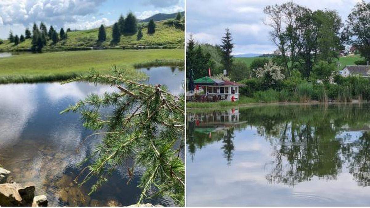 Unter den grünen Oasen am See hatten Windebensee und das &quot;The 1st Lakehouse&quot; am Hörzendorfer See die Nase vorn