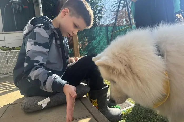 Organisiert hatte die Veranstaltung der Rotary Club Gleisdorf gemeinsam mit dem Lions Club Gleisdorf, um Spenden für den achtjährigen Lucas zu sammeln. Der Bub ist mit ADHS und Autismus diagnostiziert und soll einen Assistenzhund bekommen, dessen Anschaffung jedoch sehr teuer ist. 