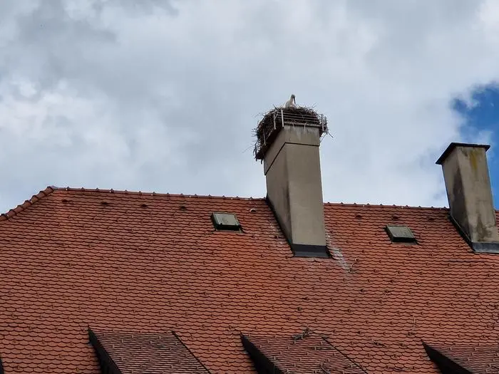 Auch das Storchennest in Voitsberg ist schon bezogen