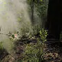 Kleine, feine Ausstellung im MAK in Wien