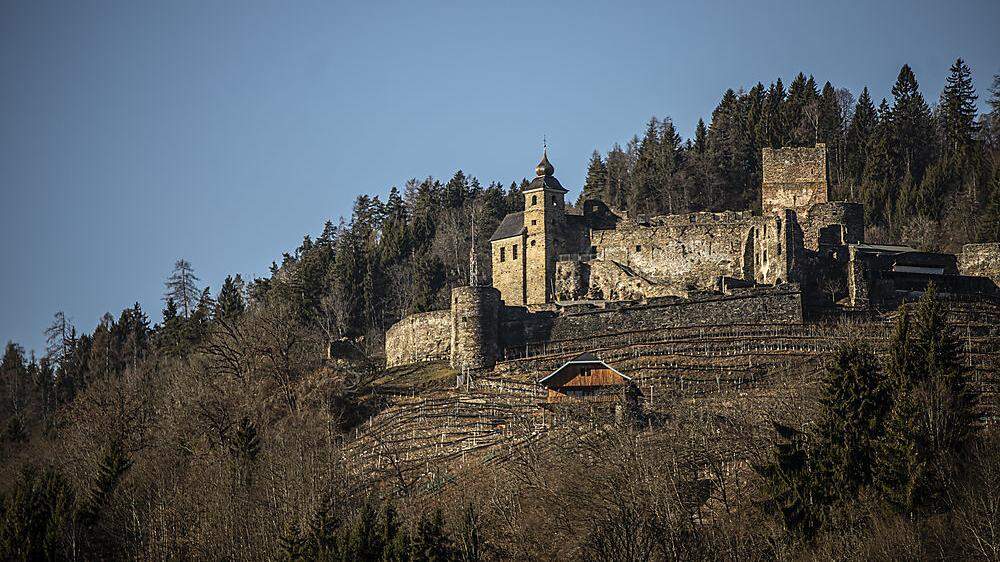 Auf Südhängen, wie bei Burg Glanegg, sind Wiesen und Wälder derzeit extrem dürr