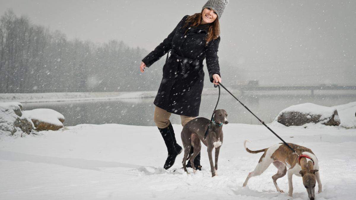 Längerfristig bleibt der Neuschnee nur dem Norden erhalten