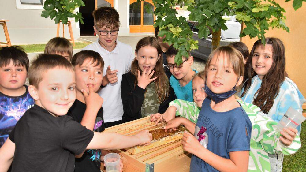 Rund 60 Schülerinnen und Schüler aus der Gemeinde St. Veit in der Südsteiermark lernten viel über die Honigbiene