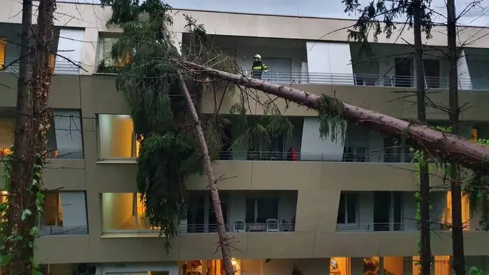 Die Freiwillige Feuerwehr Haselbach rückte zum Katastrophenhilfsdienst nach Graz aus, man unterstützte nach dem schweren Unwetter die BF Graz bei der Abarbeitung der anstehenden Einsätze zu unterstützen. Umgestürzte Bäume mussten von Häusern - wie diesem Wohnhaus in Graz - und Autos entfernt werden.