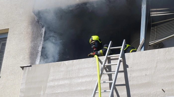Verletzt wurde niemand