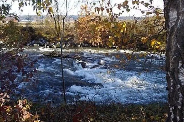 Bei diesem bunten Farbenspiel musste Ewald Kattinger aus Moosing bei Söding-St. Johann einfach mit der Kamera abdrücken. Entstanden ist dieses herbstliche Bild der Naturlandschaft rund um die Kainach übrigens in Gaisfeld.