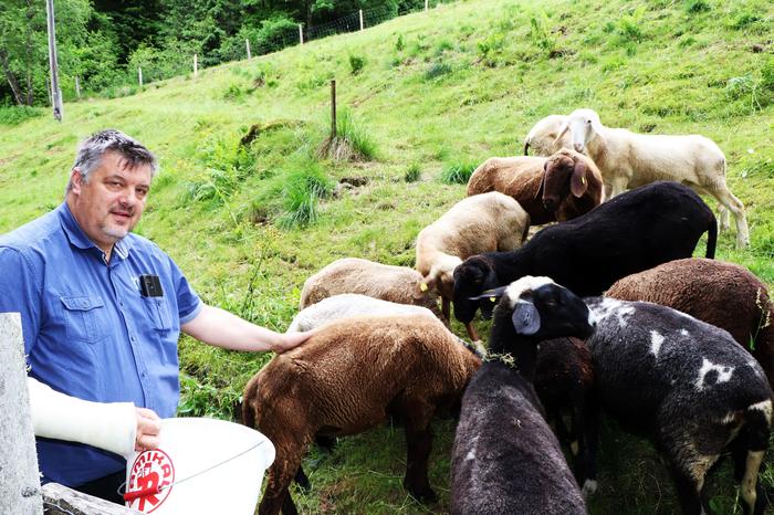 Bürgermeister und Landwirt Wilfried Mödritscher: „Schafe bleiben im Tal.“