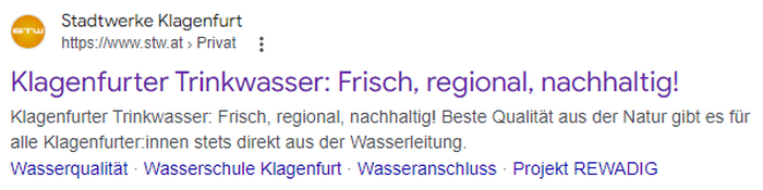 Das Google-Suchergebnis