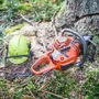 Ein 33-Jähriger wurde von einem Baum im Kopf- und Schulterbereich getroffen und schwer verletzt