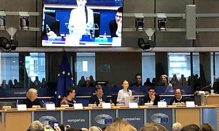 Großes Interesse: Greta Thunberg im ENVI-Ausschuss des EU-Parlaments