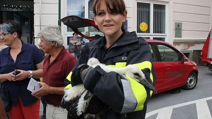 Erfolgreiche Rettungsaktion in Eibiswald