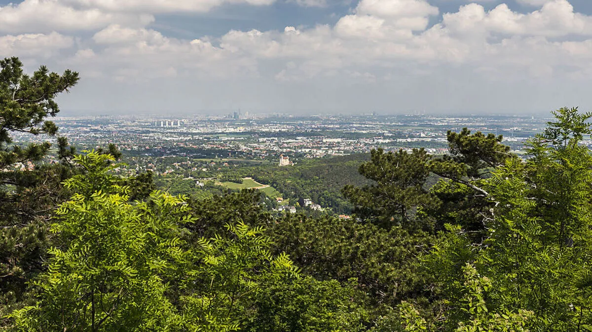 Im Wienerwald verunglückt