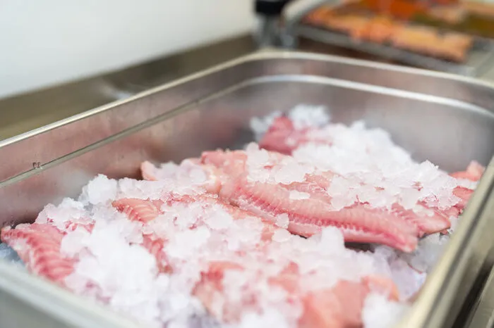 Das Welsfleisch ist nahezu grätenfrei, sehr saftig, von angenehm fester Struktur und mildem Geschmack.