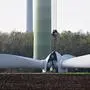 ABD0029_20241114 - WEIDEN AM SEE - ÖSTERREICH: ++ THEMENBILD ++ Projekt Zukunftsbild: Illustration zu den Themen Illustration zum Thema Windpark / Energie / Strom / Windräder / Windkraft / Windenergie. Demontage eines alten Windrads aufgenommen am Mittwoch, 6. November 2024, im Windpark Neusiedl/Weiden. Im Burgenland entsteht der größte Windpark Österreichs. Das Windprojekt wird eine Leistung von rund 122 Megawatt aus 23 Windrädern der neusten Generation haben. Die größten Windanlagen in diesem Windpark erreichen eine Höhe bis zur Blattspitze von 244 Metern. Die Spannweite eines Rotorblatts misst von 70-75 Metern und hat ein Gewicht von rund 25 Tonnen – das heißt auf einer Höhe von 244 Metern bewegen sich rund 75 Tonnen. - FOTO: APA/HELMUT FOHRINGER