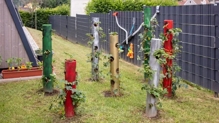 Blumen- u. Gemüsegarten der Kinderkrippe Deutschfeistritz